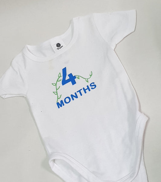 Baby Monthly Milestone Onesies